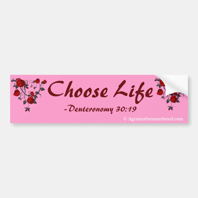 Praise Him N Pink Bible Quote Customize it Bumper Sticker (Front)