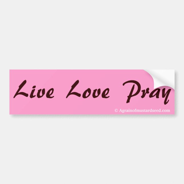 Praise Him N Pink Bible Quote Customize it Bumper Sticker (Front)