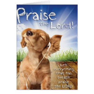 Praise the Lord Cards