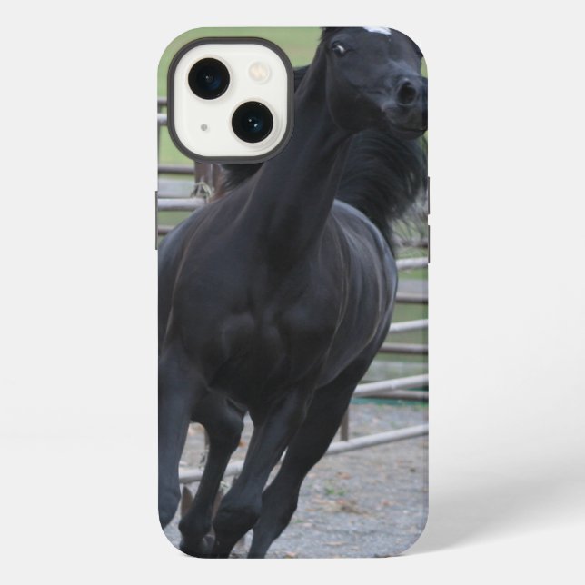 Prancing Black Arabian Iphone Case (Back)