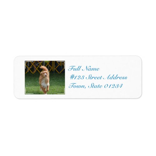 Prancing Nova Scotia Retriever Label