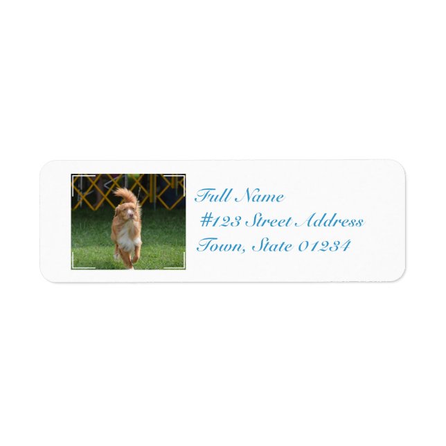 Prancing Nova Scotia Retriever Label (Front)