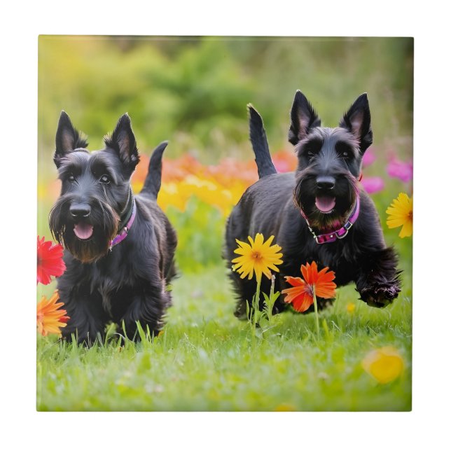 Prancing Scottish Terriers in grass and flowers Ceramic Tile (Front)