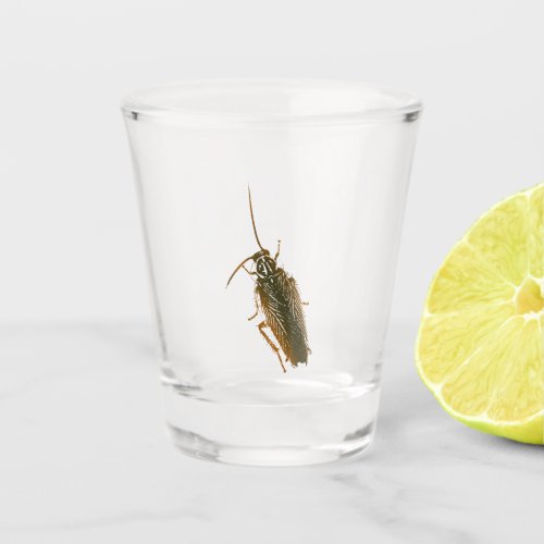 Prank cockroach shot glass