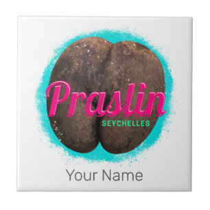 Praslin Seychelles Indian Ocean Vintage Souvenir Ceramic Tile