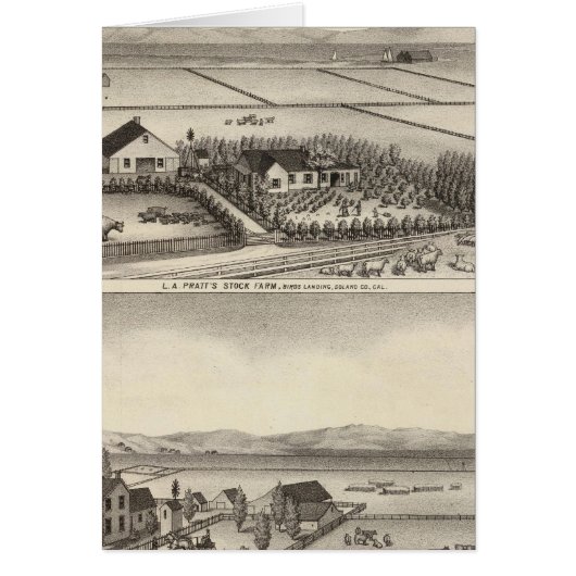 Pratt, Stewart farms Cards (Front)