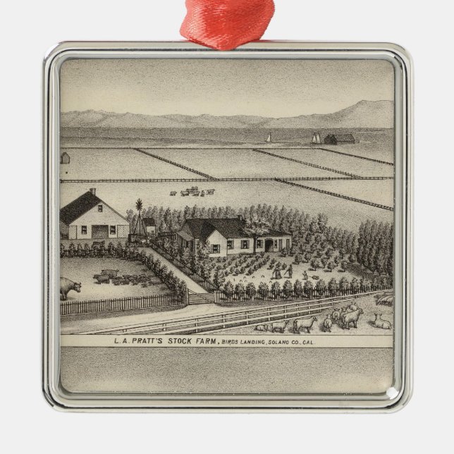 Pratt, Stewart farms Metal Ornament (Front)