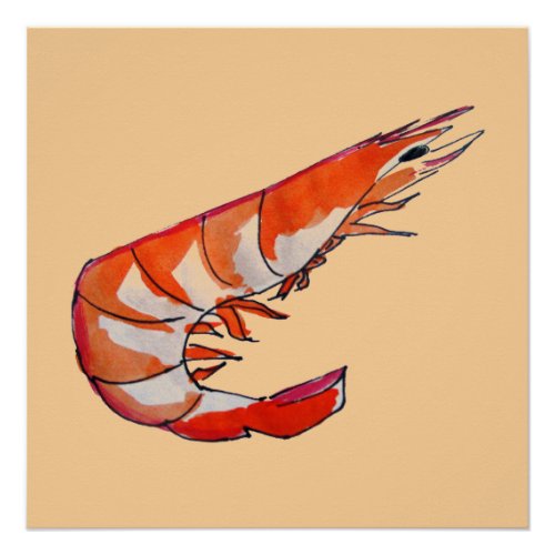 Prawn shrimp seafood art illustration poster