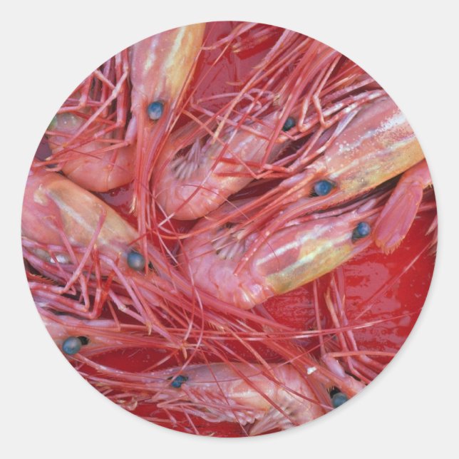 Prawns of British Columbia, Canada texture Classic Round Sticker (Front)