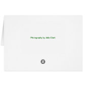 Pray Cards (Back Horizontal)