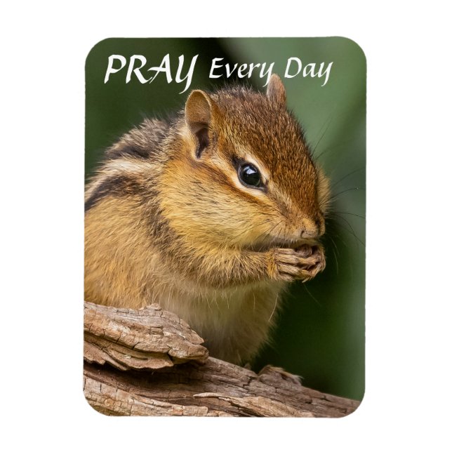 Pray Every Day Chipmunk  Magnet (Vertical)