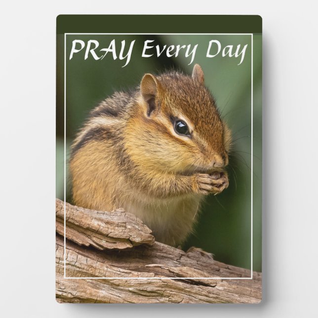Pray Every Day Chipmunk  Plaque (Front)