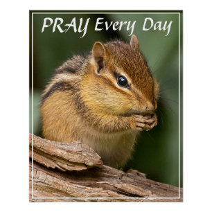 Pray Every Day Chipmunk Poster