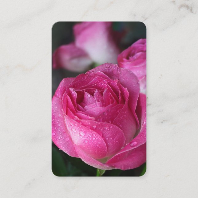 Prayer Cards | Delicate Rose (Front)