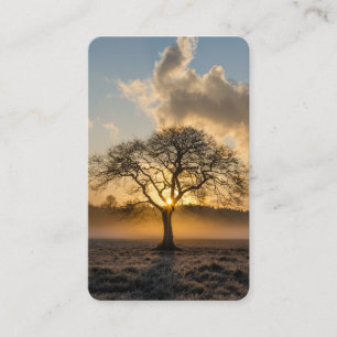 Prayer Cards Lone Tree Deluxe