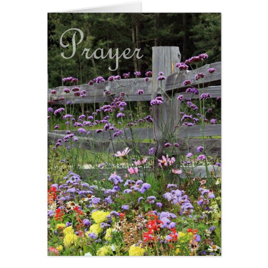Prayer Flowers Cards (Front)