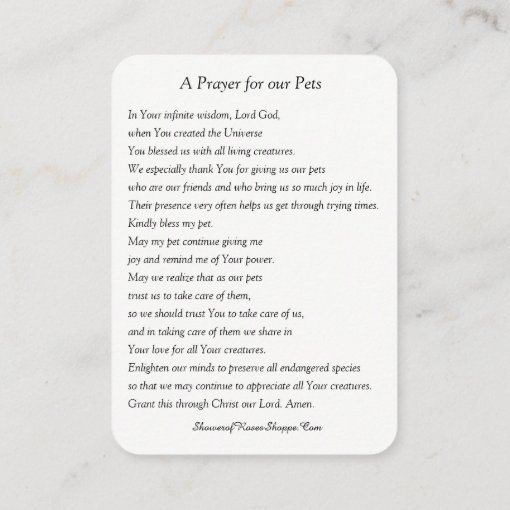 Prayer to St. Francis of Assisi for Pets Holy Card Zazzle