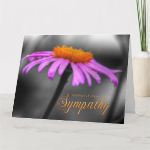 Prayers and Sympathy Purple Orange Coneflower Card