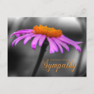Prayers and Sympathy Purple Orange Coneflower Postcard