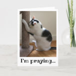 Praying Black And White Cat Card at Zazzle