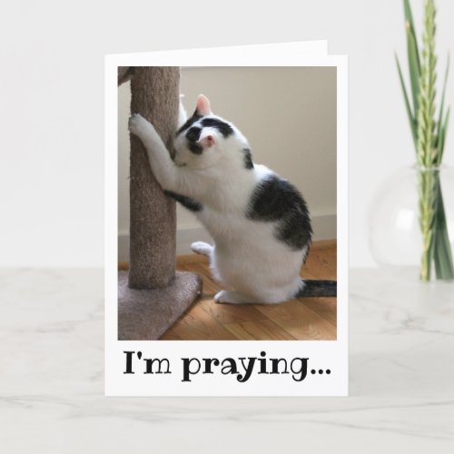 Praying Black and White Cat Card