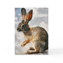 Praying Bunny in the Heavens