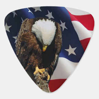 Praying Eagle American Flag sad red white blue Guitar Pick