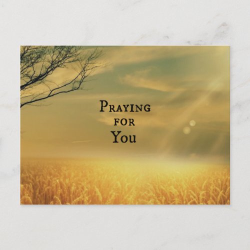 Praying for You Postcard