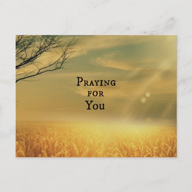 Praying for You Postcard (Front)