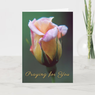 Praying for You Rose Greeting Card