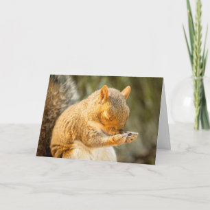 Praying For You Squirrel With Eyes Closed Holiday Card