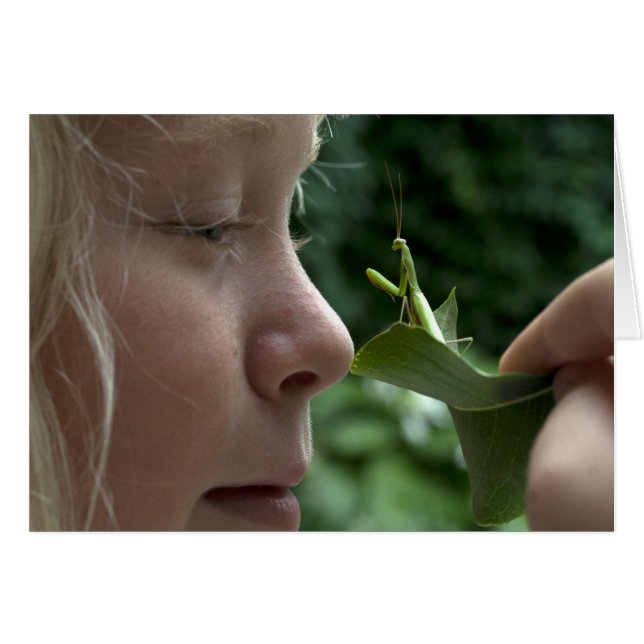 Praying Mantid (Front Horizontal)