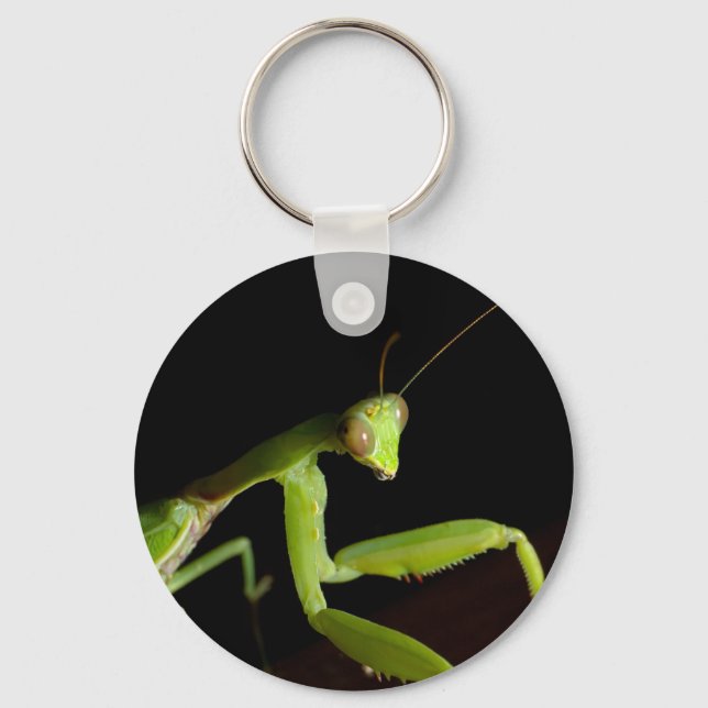 Praying mantid keychain (Front)