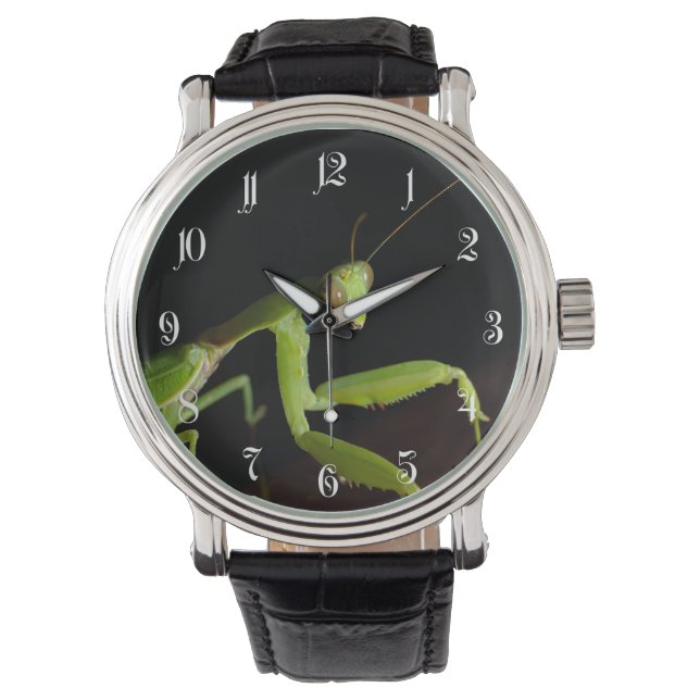 Praying mantid watch (Front)