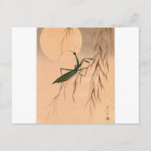 Praying Mantis and the Moon Japanese Art c. 1800s Postcard