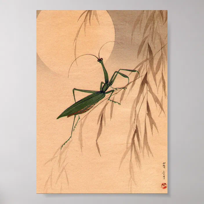 Praying Mantis And The Moon Japanese Art C 1800s Poster Zazzle Com