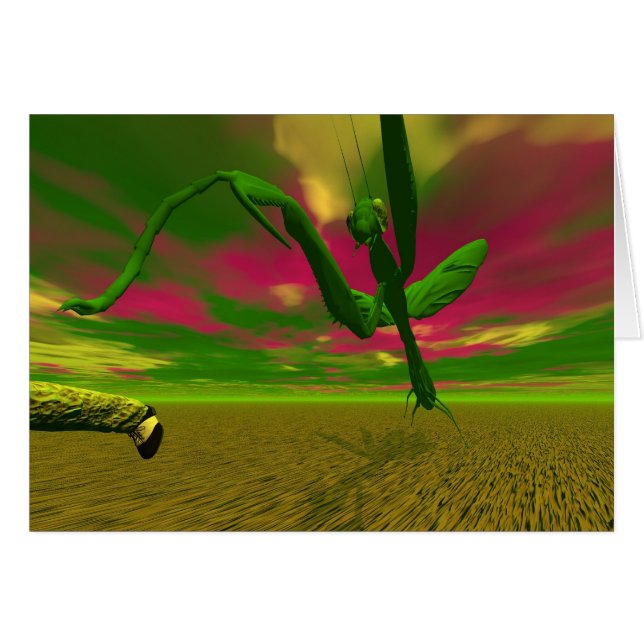 Praying mantis cards (Front Horizontal)