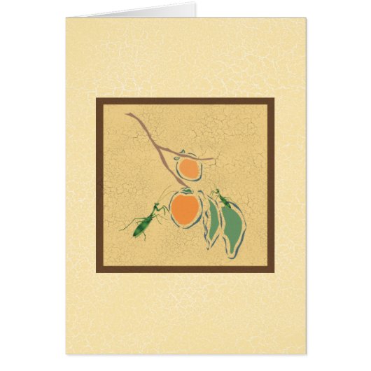 Praying Mantis Cards (Front)