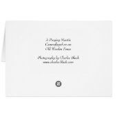 Praying Mantis Cards (Back Horizontal)