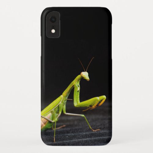 Praying mantis iPhone XR case