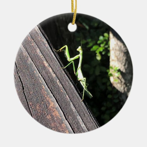 Praying Mantis  Ceramic Ornament