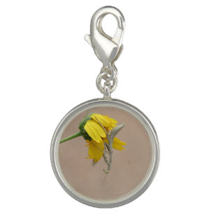 Praying Mantis Charm