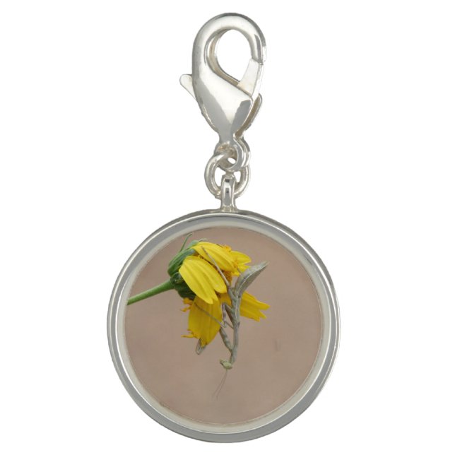 Praying Mantis Charm (Front)