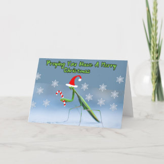 Praying Mantis Christmas Card W/ Personalized Name