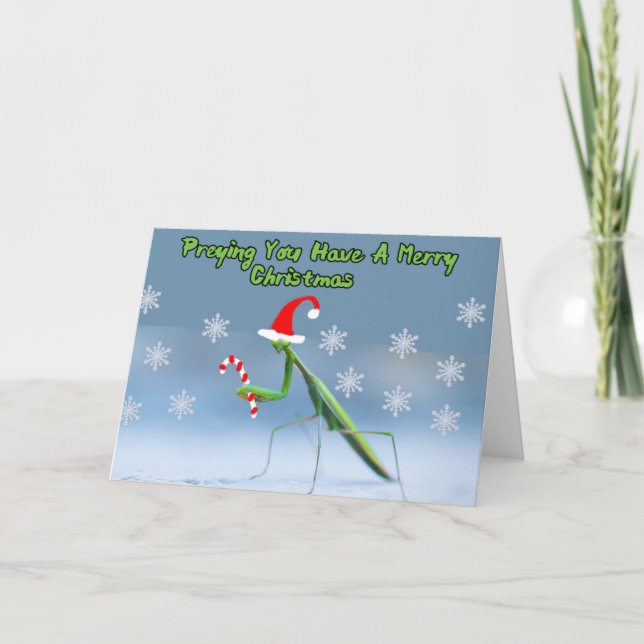 Praying Mantis Christmas Card W/ Personalized Name (Front)