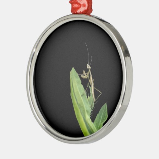 Praying Mantis Christmas Ornament 