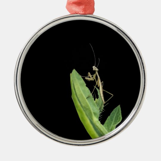 Praying Mantis Christmas Ornament 