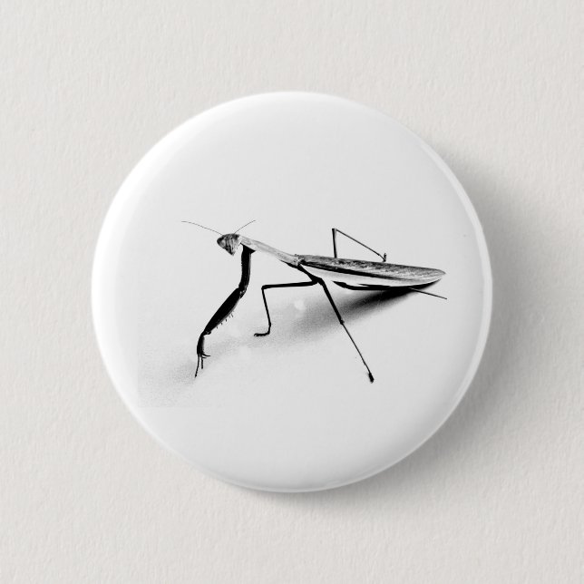 Praying Mantis Collection Pinback Button (Front)
