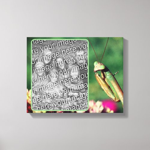 Praying Mantis Create Your Own Photo Canvas Print