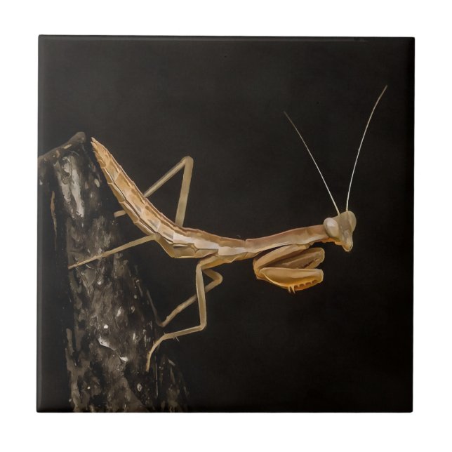 Praying Mantis Cute And Creepy Insect Art Ceramic Tile (Front)